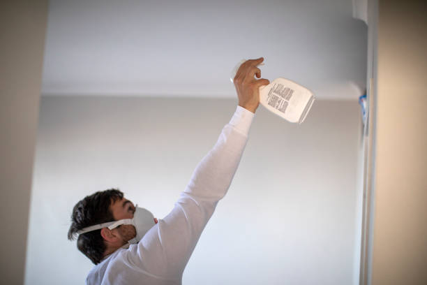 Reliable Cloverdale, CA Mold Remediation Solutions