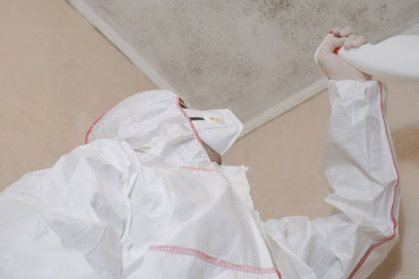 Best Preventive Mold Services in Cloverdale, CA